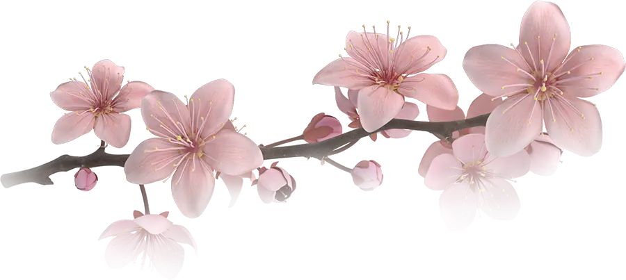 SUSHI NIGIRI - RESTAURANT JAPONAIS AU HAVRE, L’ESCALE JAPONNAISE PLACE DANTON