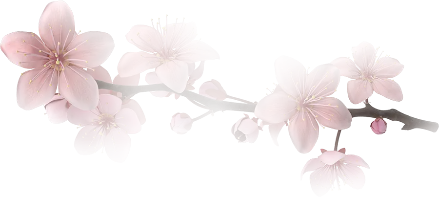 SUSHI NIGIRI - RESTAURANT JAPONAIS AU HAVRE, L’ESCALE JAPONNAISE PLACE DANTON